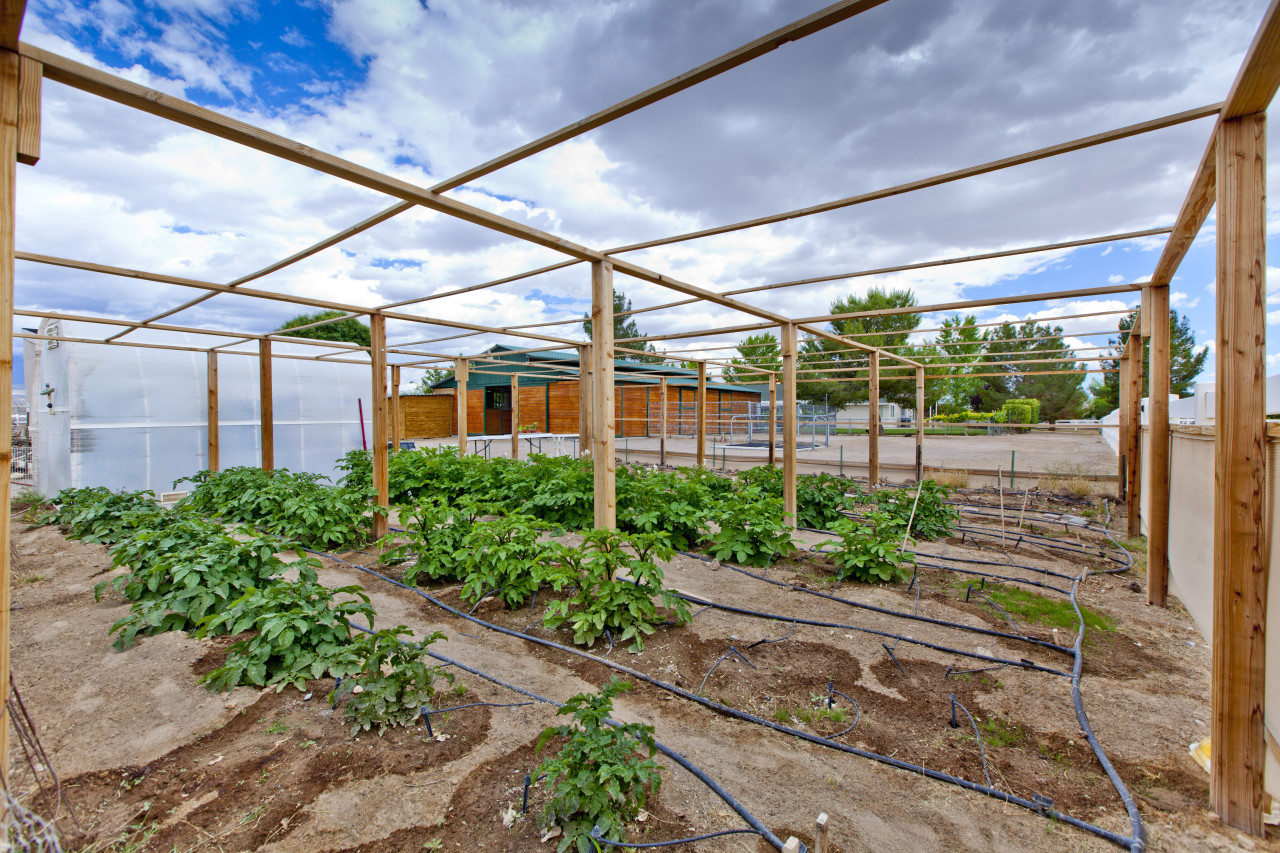 Farm Produce