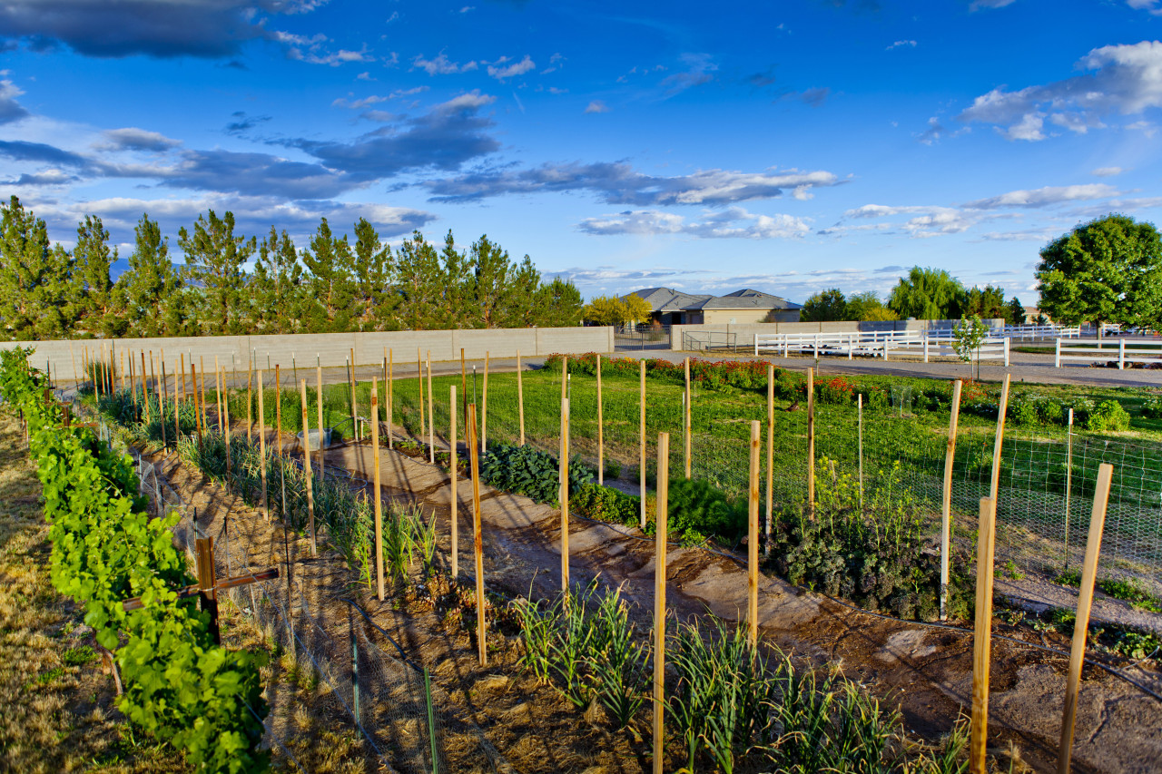 Farm Produce